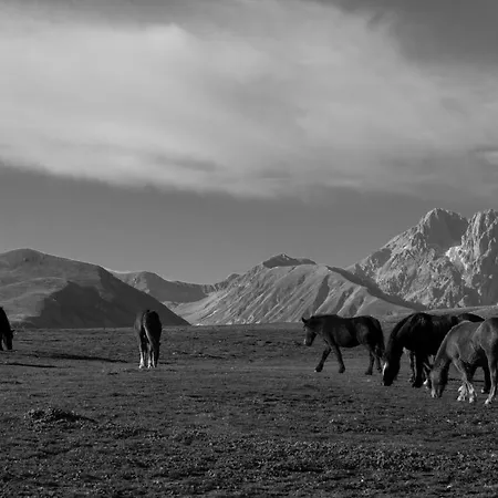 A Casa Di Emy Barisciano