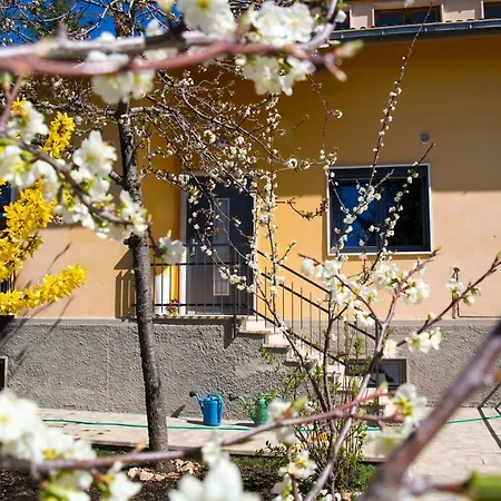 A Casa Di Emy Barisciano