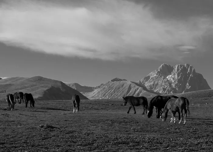 A Casa Di Emy Баришано
